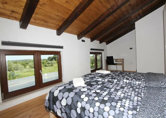 House Cuvi *