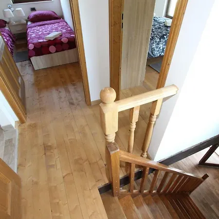House Cuvi *