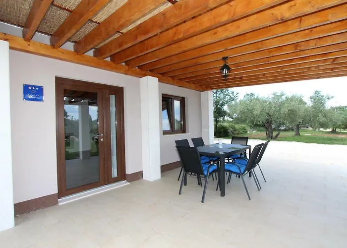 House Cuvi *